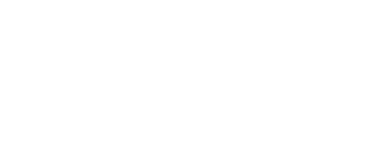 Shopify Partner